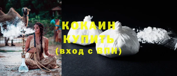 индика Касимов