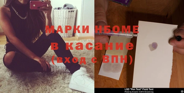 индика Касимов