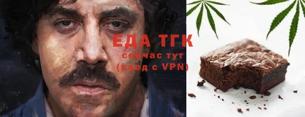 индика Касимов