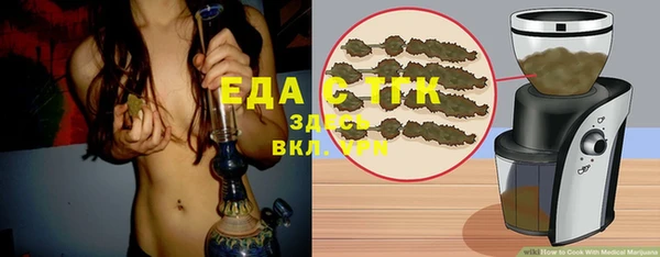 индика Касимов