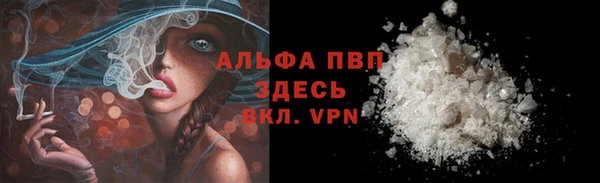 индика Касимов