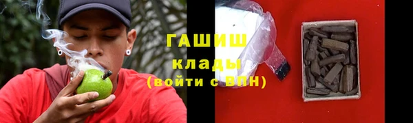 индика Касимов