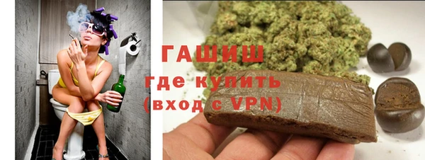 индика Касимов