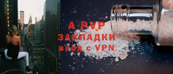 индика Касимов