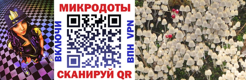 Купить  Заозёрный  Галлюциногенные грибы Psilocybine cubensis 